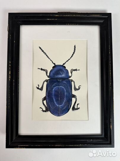 Картина «Жук»