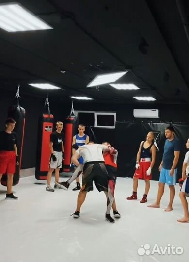 Индивидуальные тренировки по мма/Грепплингу