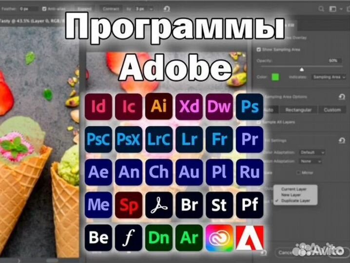 Программы Adobe для дизайнера и творчества