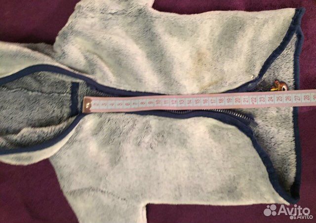 Одежда для собак