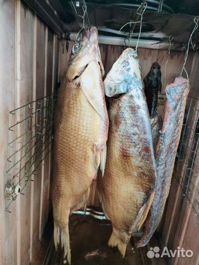 Продам универсальную коптильню