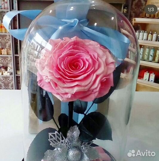 Живая роза в колбе