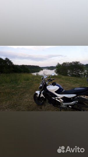 Suzuki sfv 400 gladius