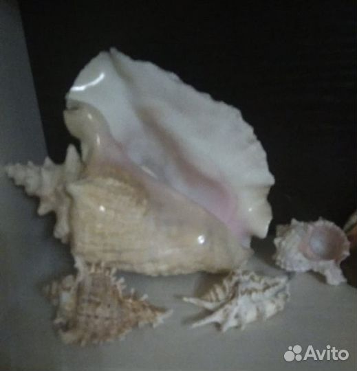 Набор для аквариума