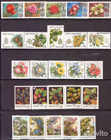 Марки почтовые чистые Флора Растения Цветы Ягоды