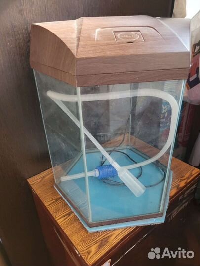 Аквариум
