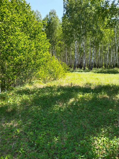 Участок 12 сот. (ИЖС)