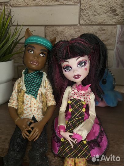 Кукла Монстер Хай Дракулаура и Клод