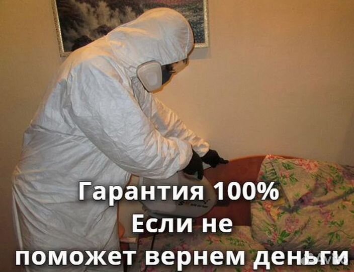 Уничтожение тараканов клопов мышей. Дезинфекция