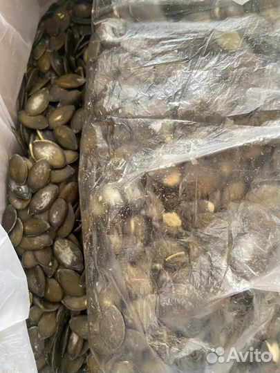 Семена тыквы штирийской