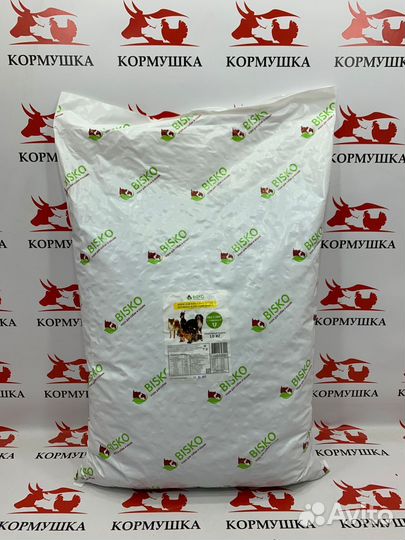 Корм для взрослых собак регуляр с говядиной