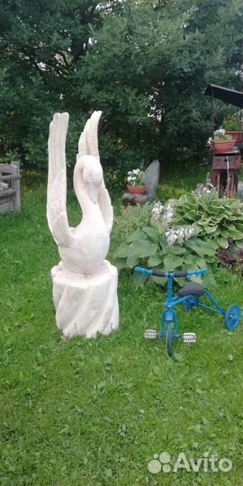 Лебедь белая