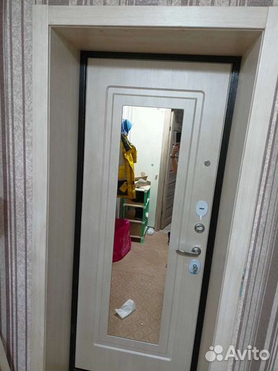 Двери входные с зеркалом от производителя