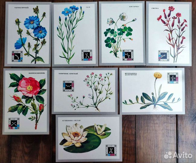 Открытки ботанические цветы растения