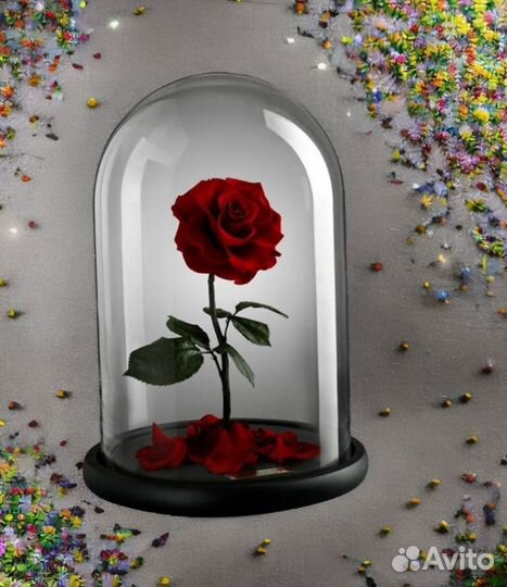 Стабилизированная Роза в колбе на Зимние букеты