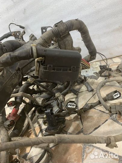 Проводка двс Mazda 6 седан 2.0 LF 2005