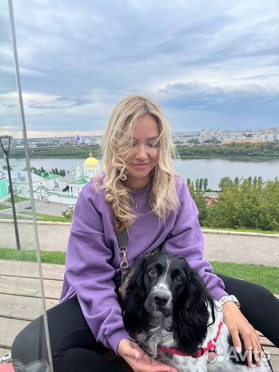 Передержка собак, дог-ситтер