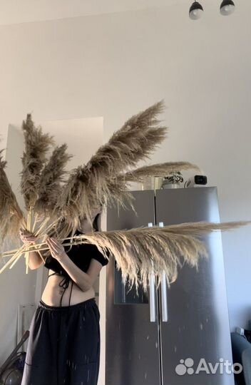 Пампасная трава оптом декор мероприятий