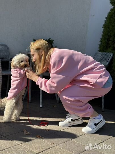 Собака для фотосессии