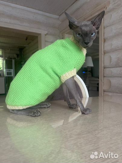 Вязаные свитера для кошек и собак