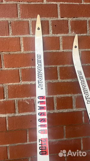 Беговые лыжи Germina