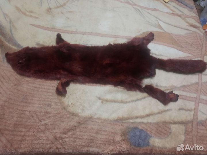 Меховая шкура