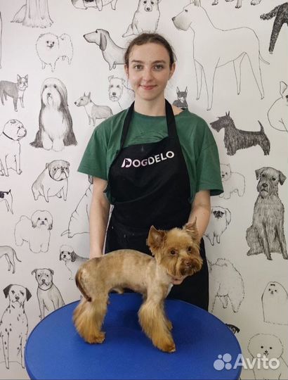 Груминг собак и кошек