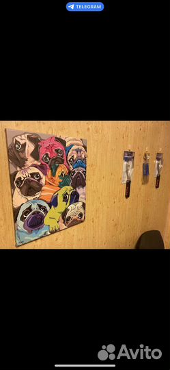 Передержка собак