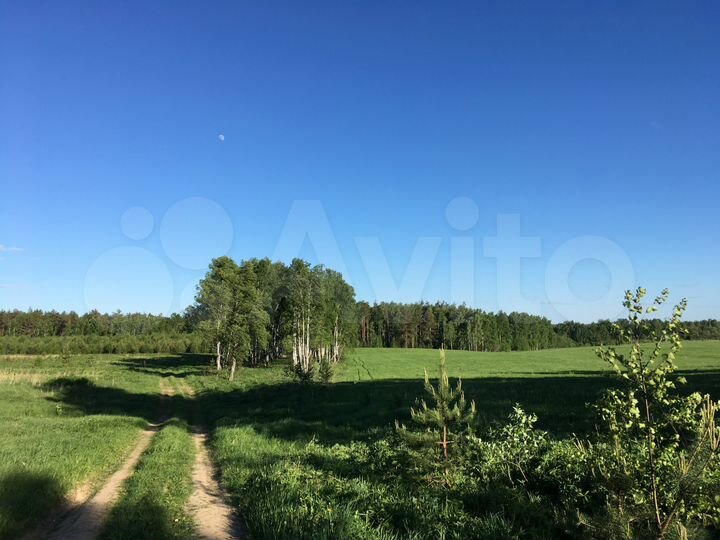 Участок 10 сот. (ИЖС)