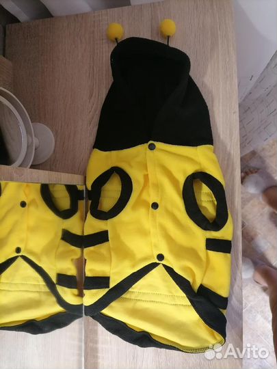 Костюм (одежда) для собак