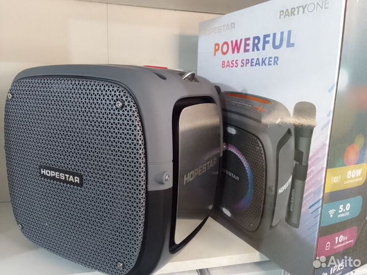 Hopestar PartyOne с 2 микрофонами