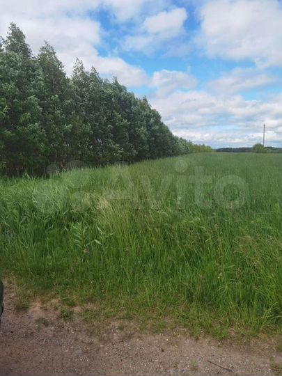 Участок 25 сот. (ИЖС)