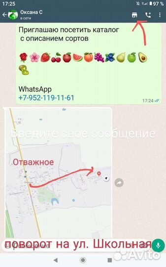 Роза Леонардо да винчи