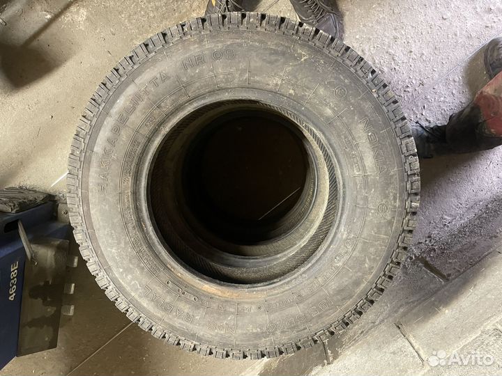 Nokian hakkapeliitta