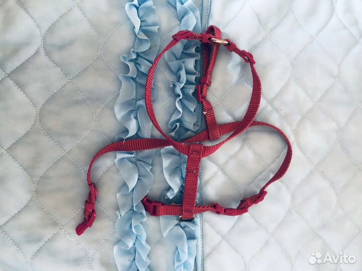 Одежда для маленьких собачек, шлейка