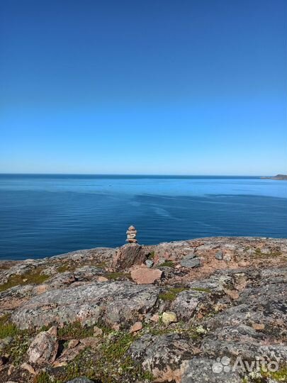 Слушатель собеседник друг на час