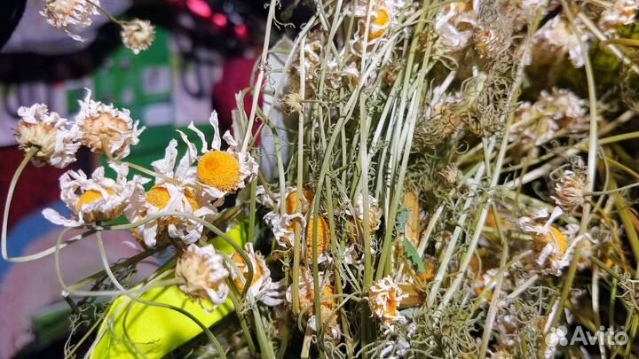 Ромашка домашняя ручной сбор сушеная