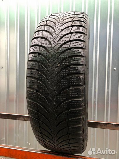 Nexen Winguard Snow G WH2 195/65 R15