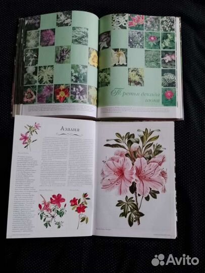 Книги о цветах