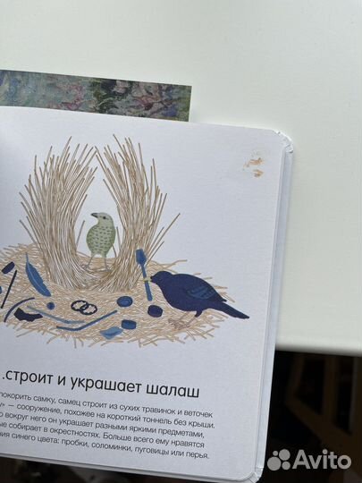 Детские редкие книги изд-ва миф Как они растут