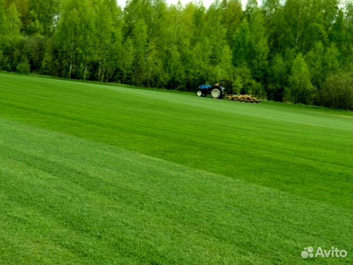 Рулонный газон от производителя