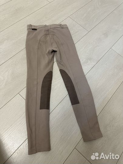 Одежда для конного спорта