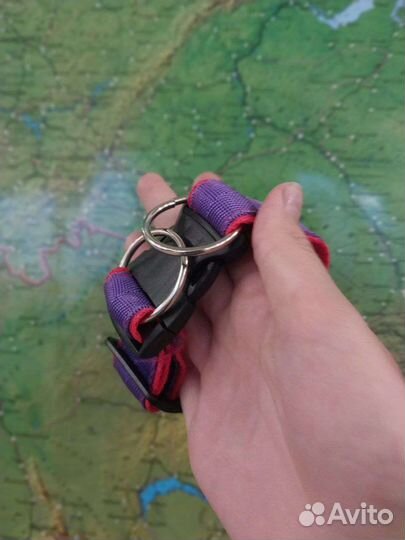 Амуниция для собак на заказ