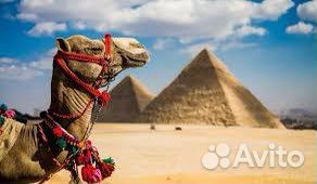 Горящие туры в Египет