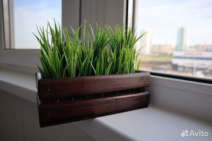 Осока искуственная