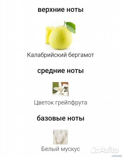 Dior Homme Cologne 2022 Dior оригинал 125 мл