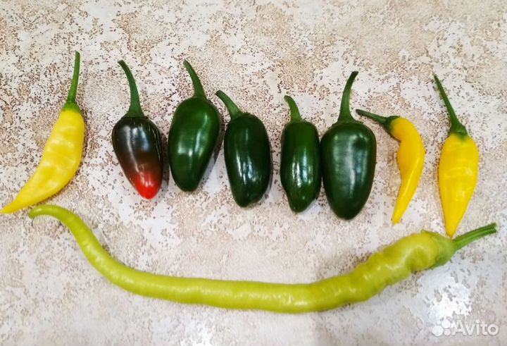 Семена острого перца