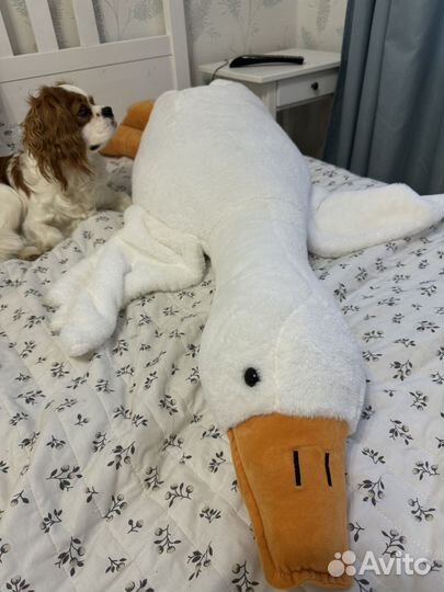 Гусь обнимусь 140