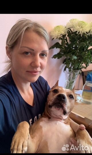 Администратор в груминг салон