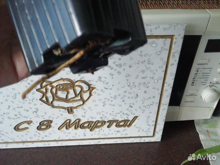 Сингониумы